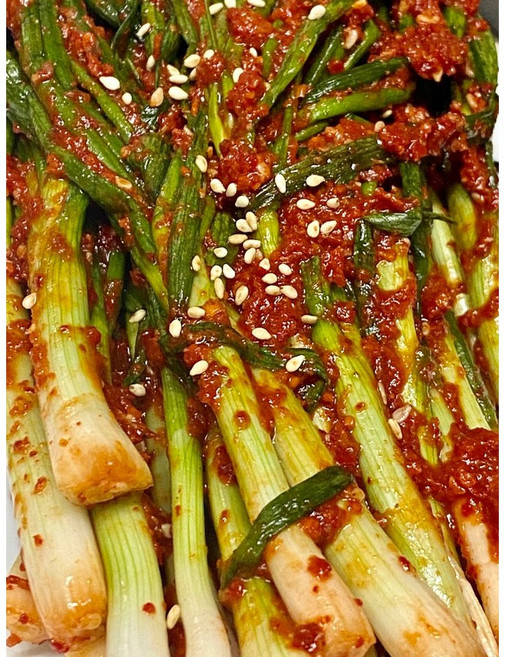 해남땅끝모녀반찬 파김치, 500g, 1개