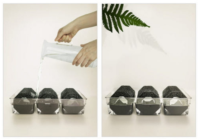 차콜프레시 국내산 백탄 참숯 자연 천연 가습제 세트, 1개