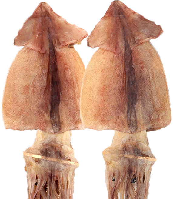 마른오징어 국내건조 마른 오징어 마른안주 2마리, 1개, 특대 2미(180g 내외)