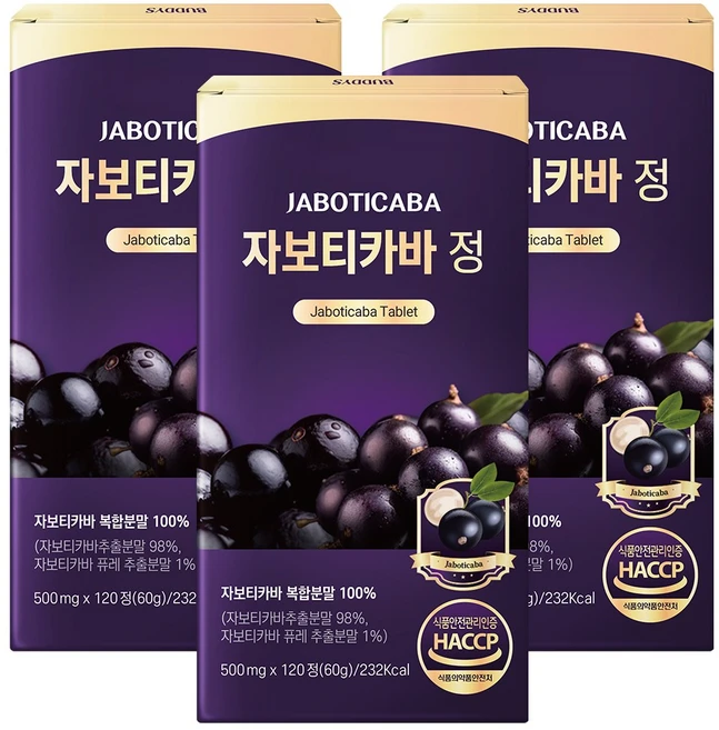자보티카바 정 Jaboticaba, 3개, 120정 - 쿠팡