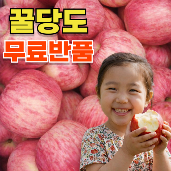 [초특가할인] 경북지역 꿀당도 달콤 부사사과, 1박스, 5kg(중과)