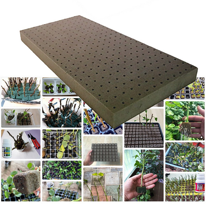 삽목용 오아시스 276구 1장 다육이 선인장 리톱스 야생화 분갈이 수국삽목 플로랄폼 지피펠렛, 5개