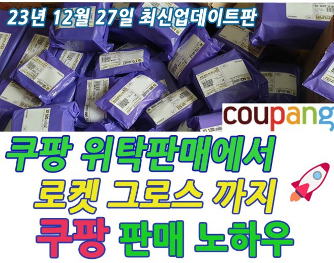 쿠팡노하우 쿠팡 위탁판매에서 로켓그로스까지 (빠른 발송 + PDF 전자책), 1년만에 순수익 1억벌게한 쿠팡판매노하우