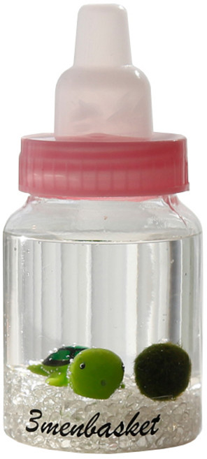 세남자바스켓 베이비 국산 마리모 키우기 미니 젖병 어항, 거북이_투명자갈, 1개