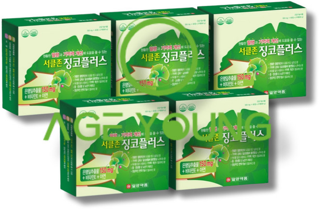 징코 기억력감퇴 혈액순환 깅코 징코빌로바, 120정, 5개