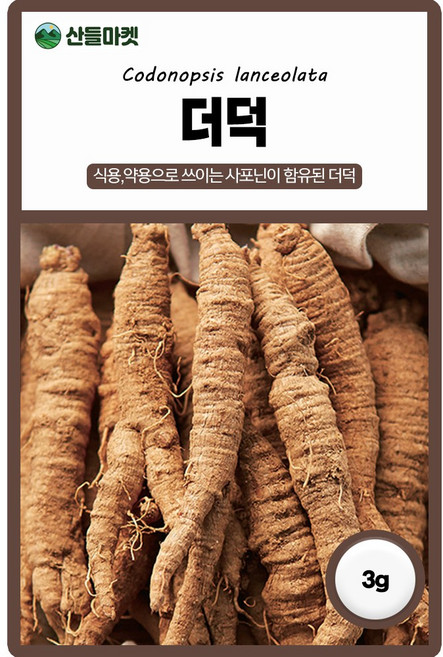 더덕 씨앗 30g, 1개
