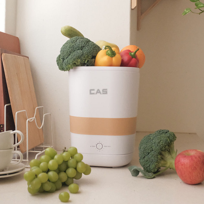 카스 과일 야채 가정용 젖병 귀금속 안경 초음파 세척기, 화이트