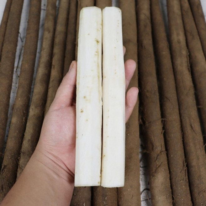 국내산 안동 우엉 (실속 중대 특상) 4키로 2키로 생우엉 통우엉 안동산지발송 2025년 햇우엉, 1박스, 안동 알뜰 실속우엉 2kg