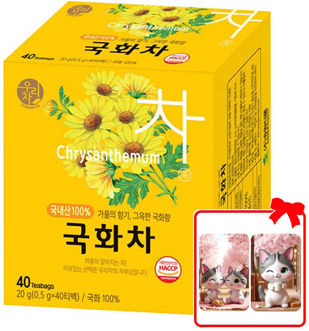 송원 국산 국화차 티백 + 대순이 캐릭터 포토카드 증정, 1개, 40개입, 0.5g