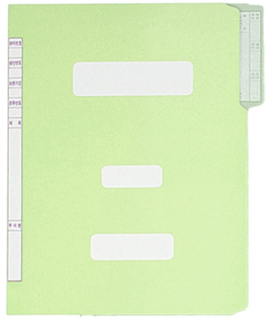 화일사랑 A4 컬러 정부화일, 10개, 02-연두