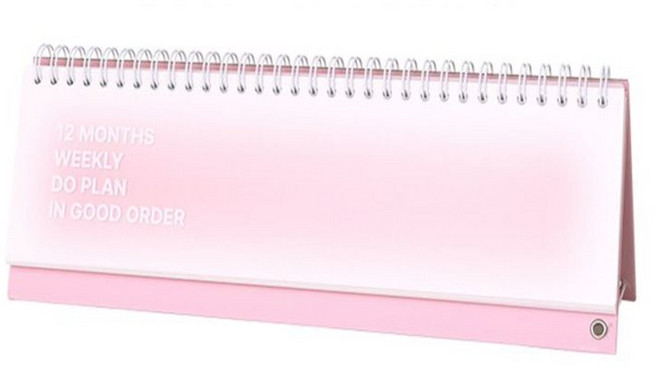 딜리고 DO 위클리 12개월 탁상 스터디 플래너 초등스터디플래너 초등학생 공시생, 스카이블루