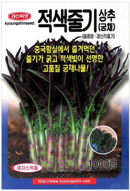 세인화분 경신 적색 줄기 상추 1000립 - 씨 씨앗 궁채 나물 궁채씨 궁채씨앗