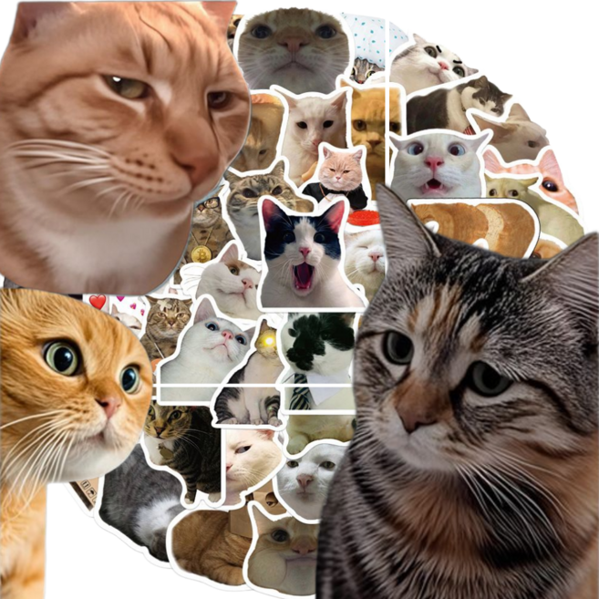 고양이 인스타 차량용 꾸미기 인테리어 다꾸스티커, 다꾸모음