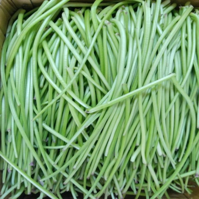 해남 산지직송 햇 고구마순 고구마줄기, 1개, 1kg