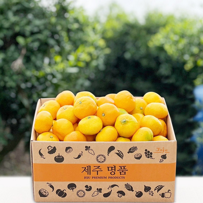 제주 하우스 귤 제철 고당도 밀감 제주귤 제주도 감귤, 1개, 하우스귤 가정용 2.5kg 꼬마