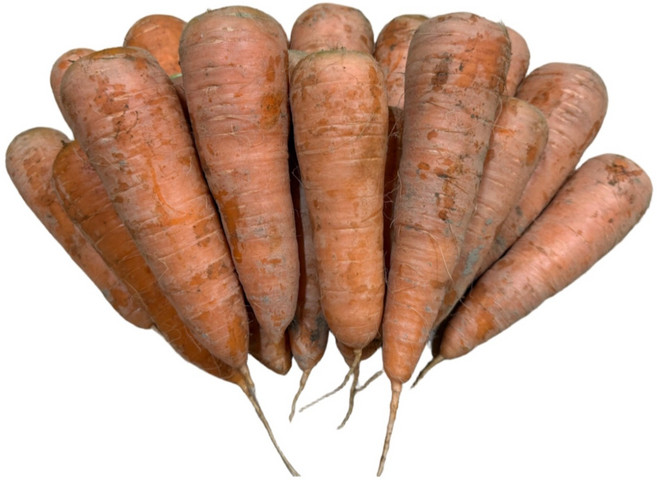 26년 부경 햇 당근 출시 제주 구좌 흙당근 주스용 못난이 국산당근 쥬스용 부산 경남, 1박스, 햇 당근 중 1kg