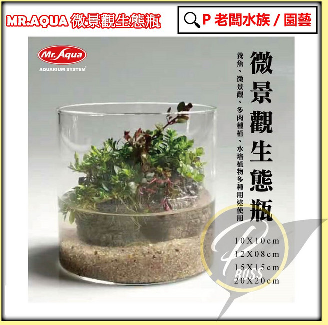 MR.AQUA 微景觀生態瓶 玻璃生態瓶 植物培育圓柱缸 鬥魚多肉適用, 1個, 10x10
