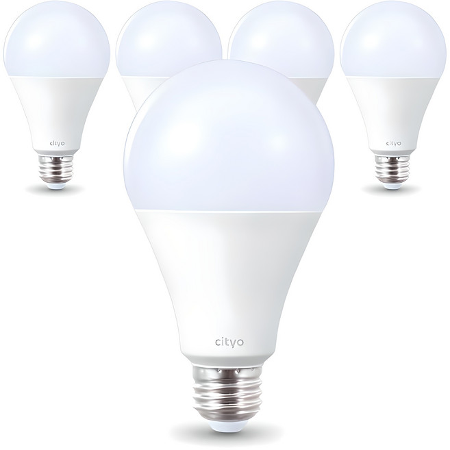 씨티오 LED 화이트 전구 20W, 주광색, 5개