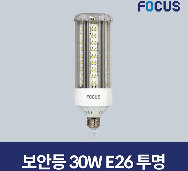 포커스 LED 보안등 파워램프 30W 투명, 1개, 주광색
