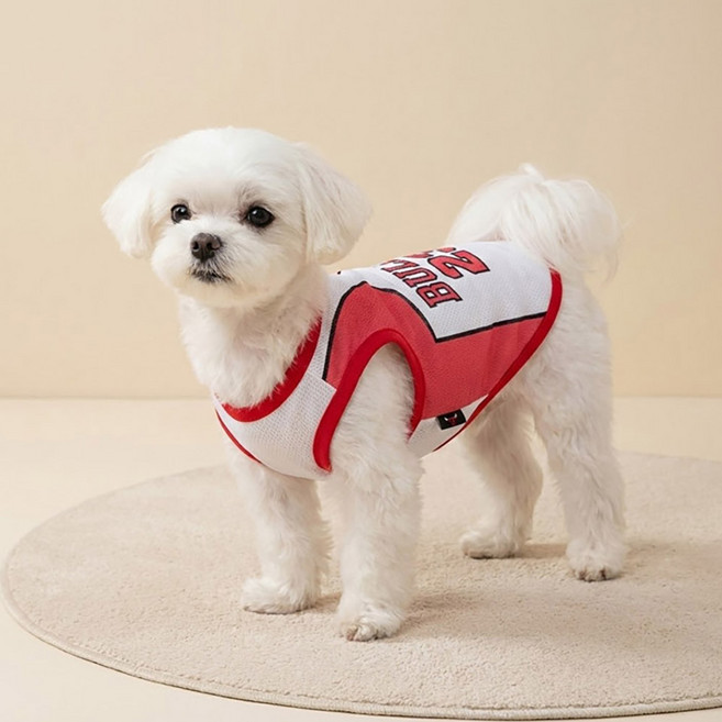 쪼꼬마미 강아지 국가대표 축구복 농구복 유니폼 대형견 옷 빅사이즈 6XL 여름 쿨조끼 메쉬 민소매 애견의류 골든리트리버 시밀러룩 커플룩 6종, 1개, 불스