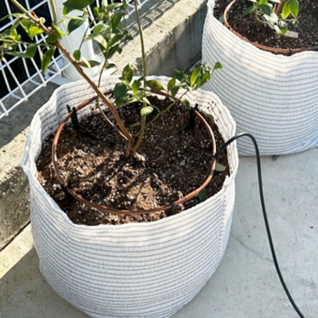 미니인라인드립 부속 자재 점적호스 블루베리 관수자재 텃밭 정원 화분, 미니인라인 부속 티자(T)