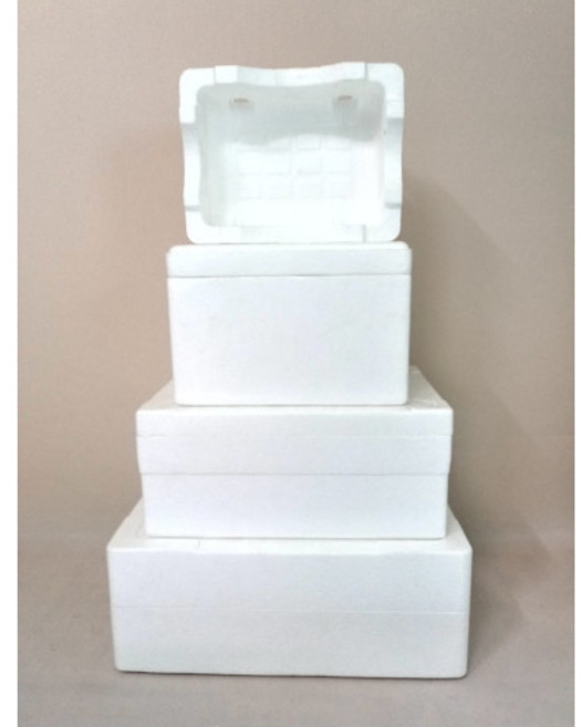 [소형/낱개] 택배 포장 아이스박스 스티로폼박스 소량 택배포장박스 아이스박스 스티로폴박스 추천 샘플용 다조은포장, 옵션1 ds-1호, 1개