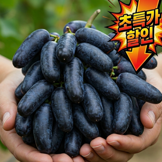 [최상품] 초고당도 블랙사파이어포도 씨없는 포도, 1박스, 초고당도 1kg