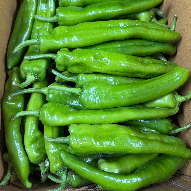 [금성식품]중국고추볶음용 유쬬 짼쬬, 1개