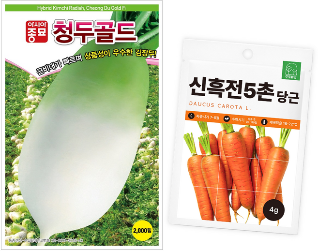 김장무 씨앗 가을 김장 무우 종자 씨 당근 씨 선물 채소씨앗, 1개