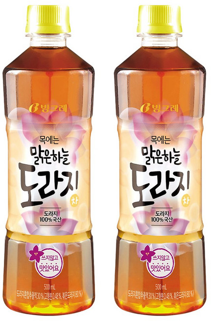 빙그레 맑은하늘 도라지차, 500ml, 20개