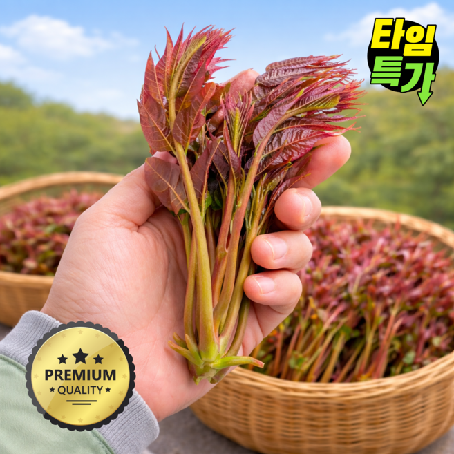 [최고품질엄선] 봄제철 가죽나물 참죽나무순 당일수확, 1개, 1kg