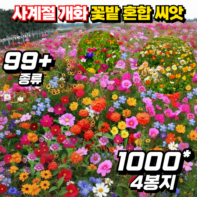[1+1]사계절 개화 꽃밭 혼합 씨앗 혼색종자 정원 화원 들꽃 씨앗, 4개