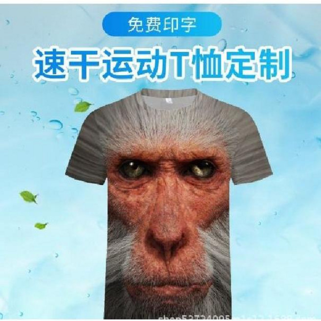침팬지 반팔 XXXXL 빅사이즈 티셔츠 오랑우탄 반티 원숭이 동물