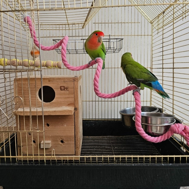 스트레스해소 케이지줄 앵무새횟대 150cm 랜덤색상 놀이줄