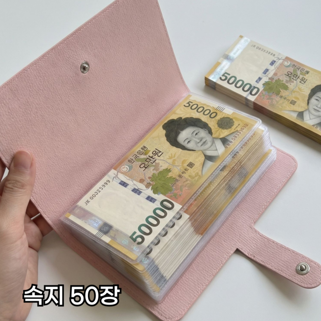 현금 바인더 저축 챌린지 다이어리, 1개, 인디 핑크