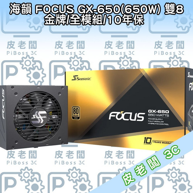 海韻 FOCUS GX-650 650W 80 PLUS 金牌 全模組 電源供應器