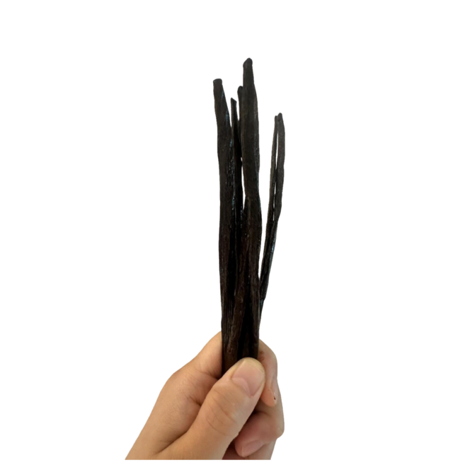 빈드뤼네 마다가스카르 바닐라빈, 1개, 25g
