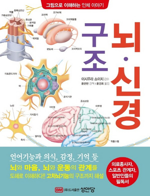 뇌·신경 구조:의료종사자 스포츠 관계자 일반인들의 필독서, 성안당, 이시우라 쇼이치