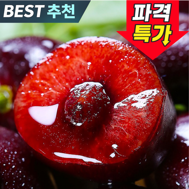 [흰여울청과] 프리미엄 고당도 생 체리, 1박스, 대과 500g