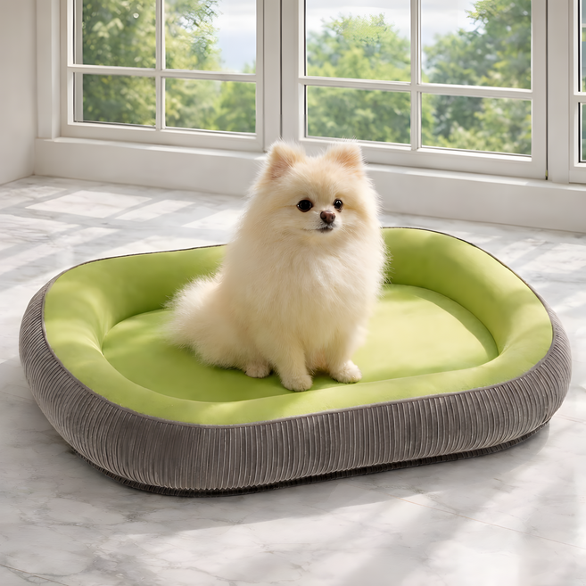 데이위시 사계절용 꿀잠유도 커버분리 펫쿠션, 1개, 그린