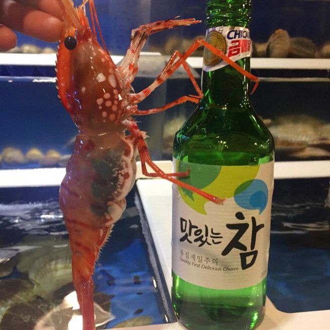 활 독도새우 도화새우, 2개, 활 도화새우 대 500g