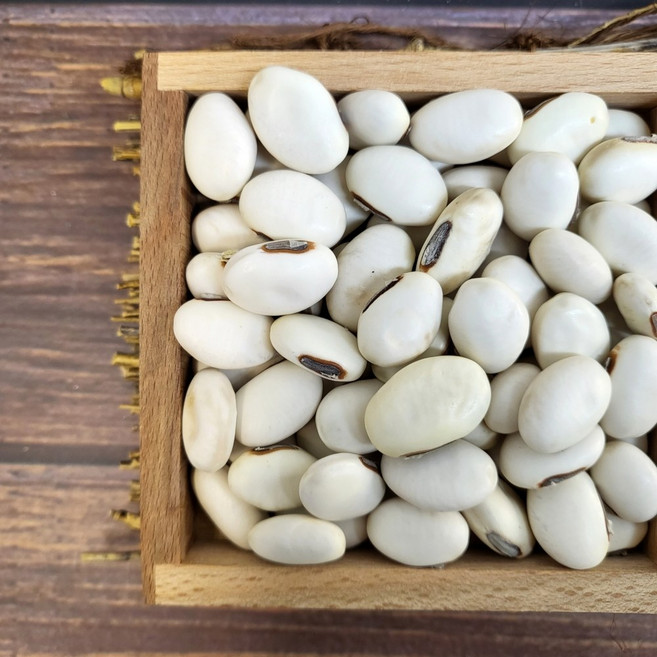 농랑부랑 햇 국산 작두콩 잠두콩 500g, 1개