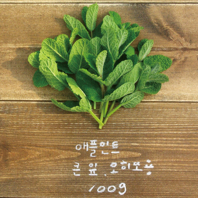 유기농 애플민트 생잎 큰 잎 100g/모히또용, 1개