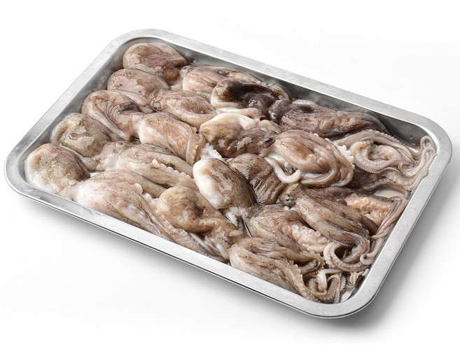 국내산 신선 급냉 쭈꾸미 산지직송 2026년 햇쭈꾸미, 1개, 1kg (수분포함)