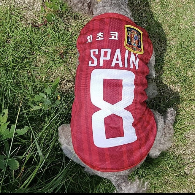 볼독 [이름각인가능]강아지 고양이 나시 티셔츠 중형견 옷 대형견 옷 웰시코기 옷 티셔츠, 1개, 스페인(빨간색)