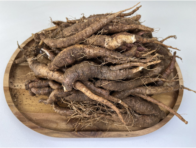 원도오빠 산더덕 장아찌용 5키로(작은사이즈 튀김 장아찌용), 5키로, 2개