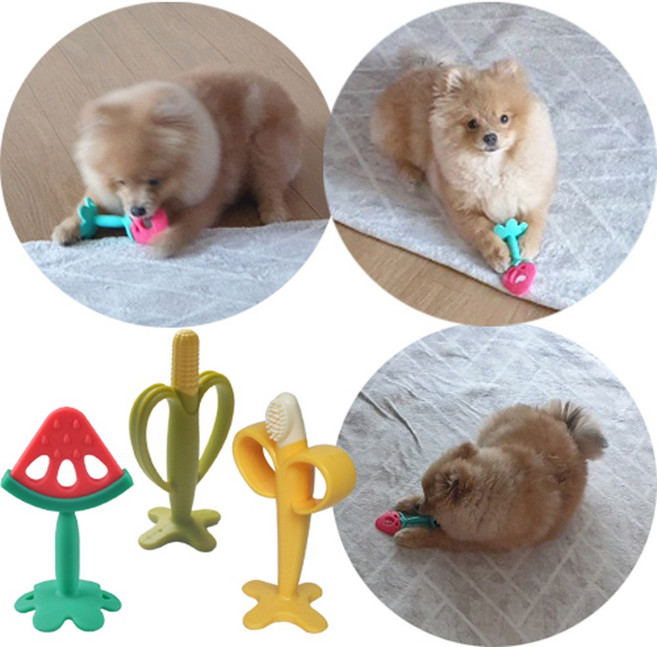 애완견 과일치발장난감 / 유치보호장난감 / 100%국내생산 / KC인증제품, 1개, 옥수수