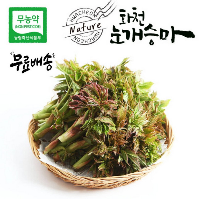 강원도 화천 무농약 눈개승마, 1개, 2kg