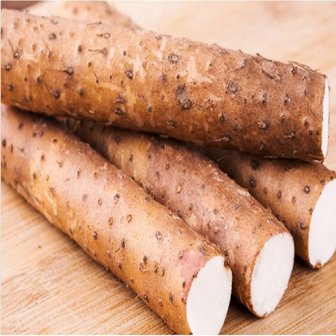 기운을 북돋아주는 안동 장 마 중품, 1kg, 1개