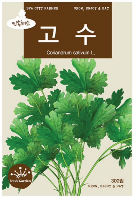 (CNS) 고수 300립 민속씨앗, 1개